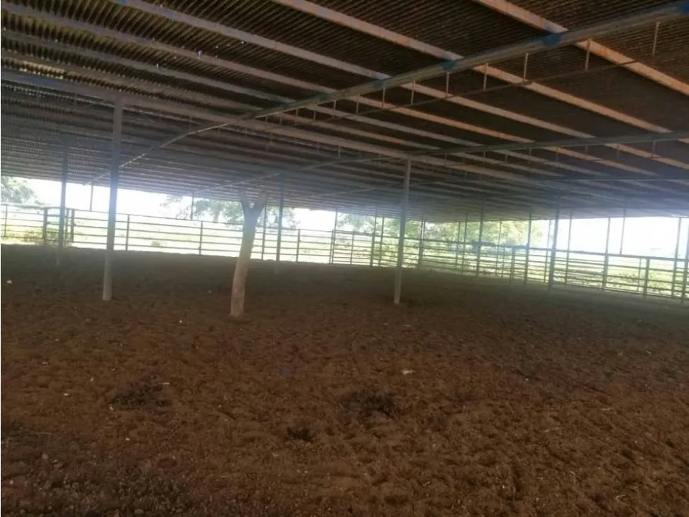 Vendo finca mecanizada agrícola y ganadera 3200Ha Guárico 2783 - 22