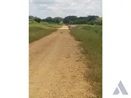 View 25
