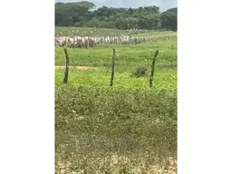 View 28