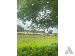 View 29