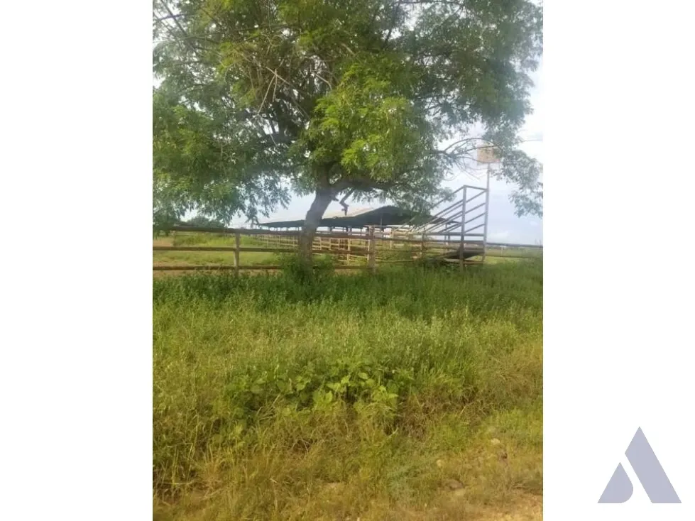 Vendo finca mecanizada agrícola y ganadera 3200Ha Guárico 2783 - 4