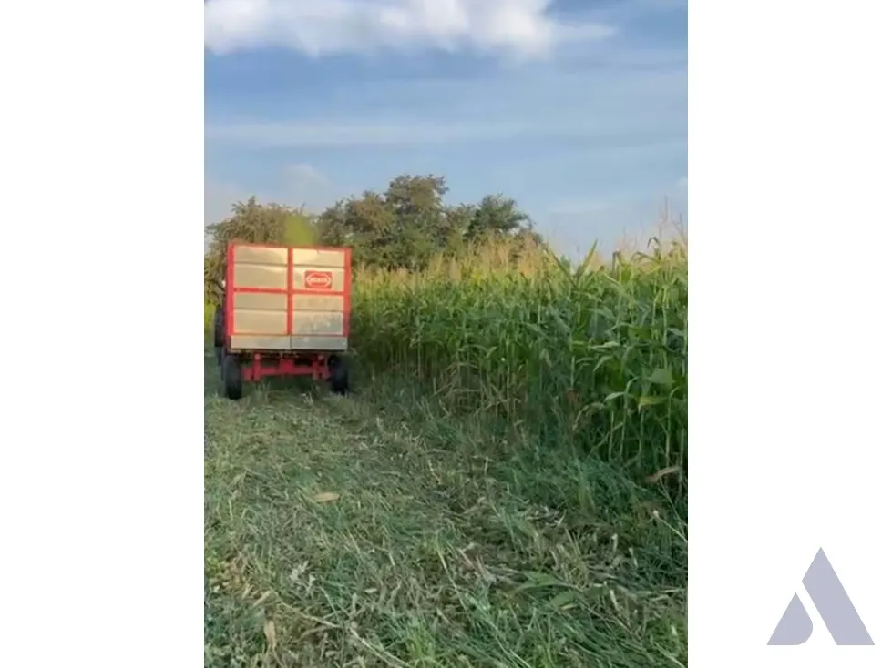 Vendo finca mecanizada agrícola y ganadera 3200Ha Guárico 2783 - 32