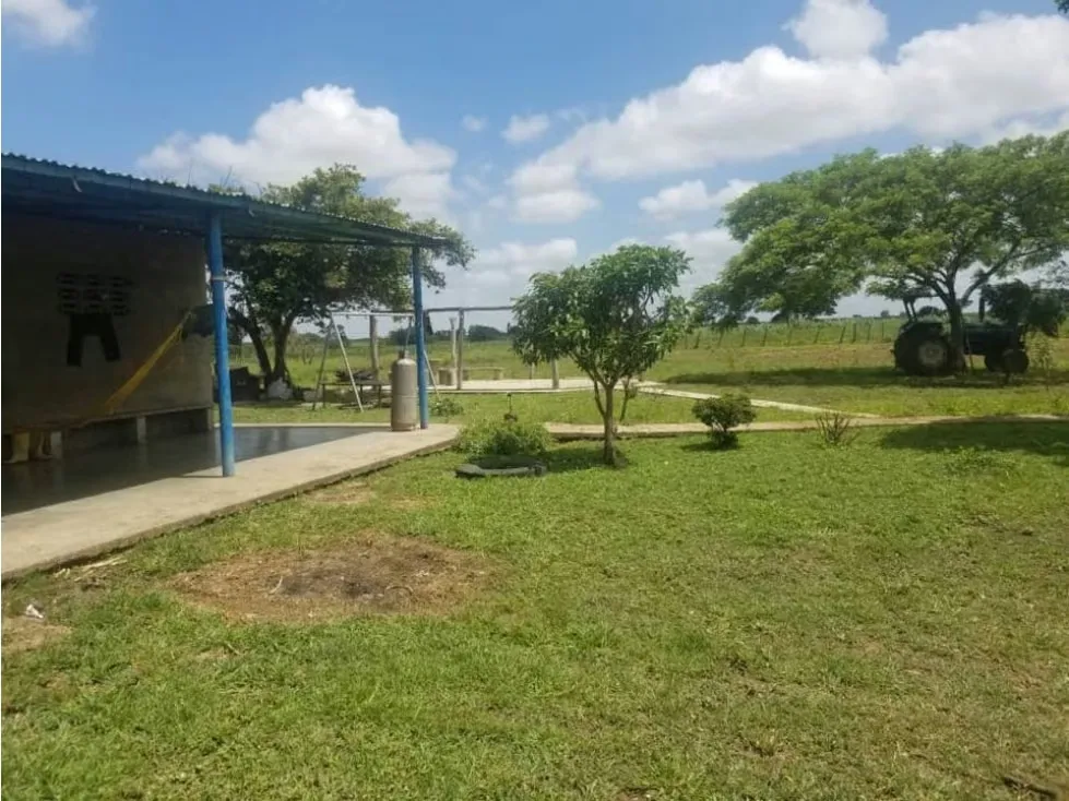 Vendo finca mecanizada agrícola y ganadera 3200Ha Guárico 2783 - 5