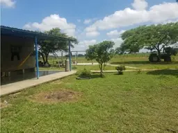 View 5