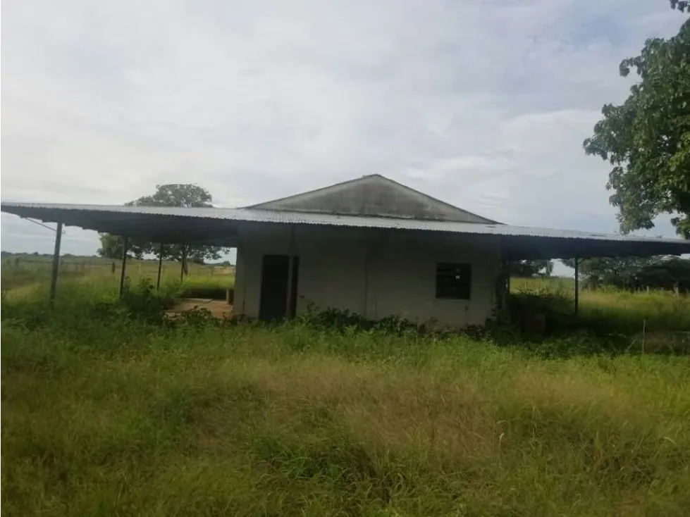 Vendo finca mecanizada agrícola y ganadera 3200Ha Guárico 2783 - 8