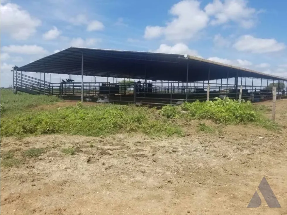 Vendo finca mecanizada agrícola y ganadera 3200Ha Guárico 2783 - 9