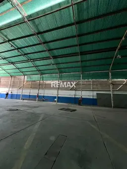 Vista 4