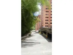 Vista 17