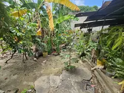 View 12