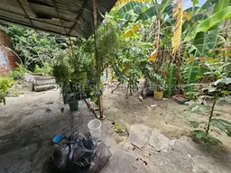 View 5