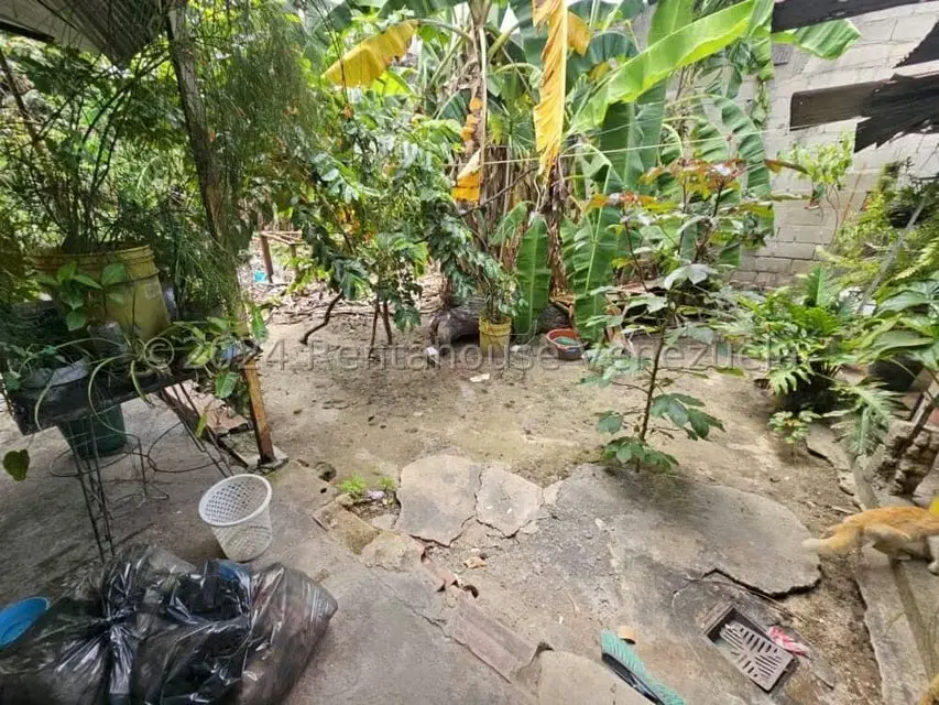 Terreno (Comercial) en Venta en Zona Centro, Aragua - 7