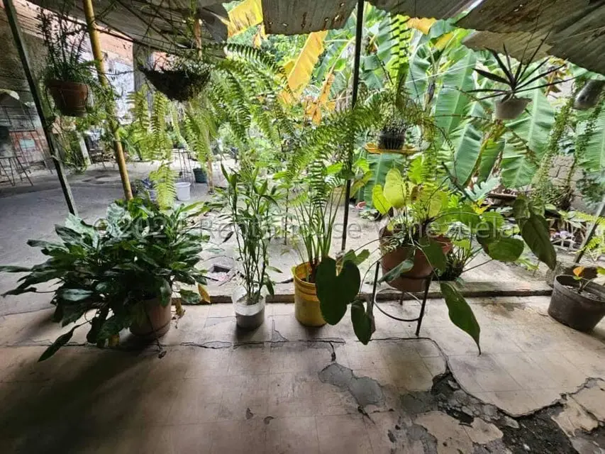 Terreno (Comercial) en Venta en Zona Centro, Aragua - 9