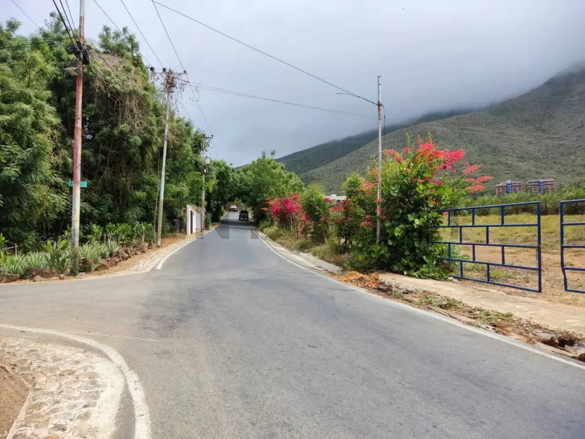 Venta de Finca con Terreno Fértil y Potencial Residencial en Guarame - 11