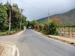 Vista 11