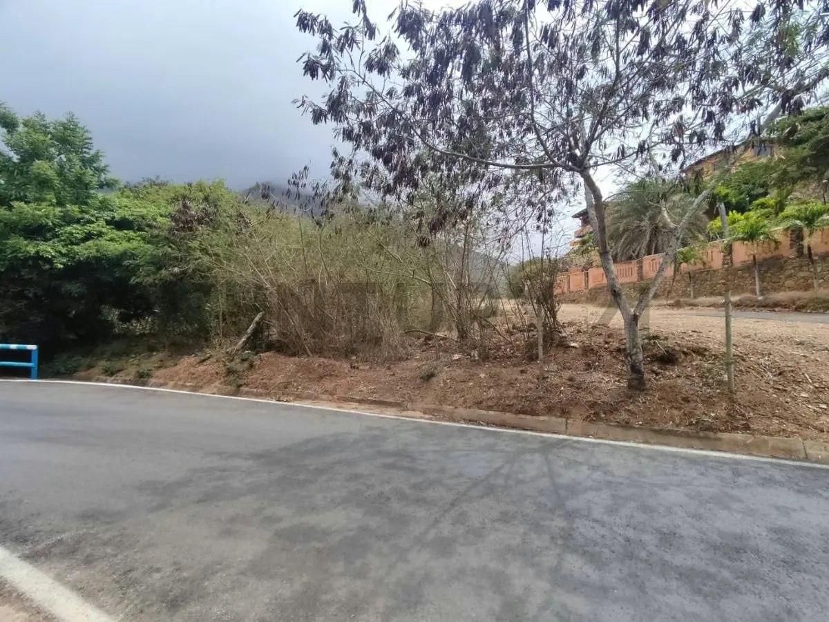 Venta de Finca con Terreno Fértil y Potencial Residencial en Guarame - 12