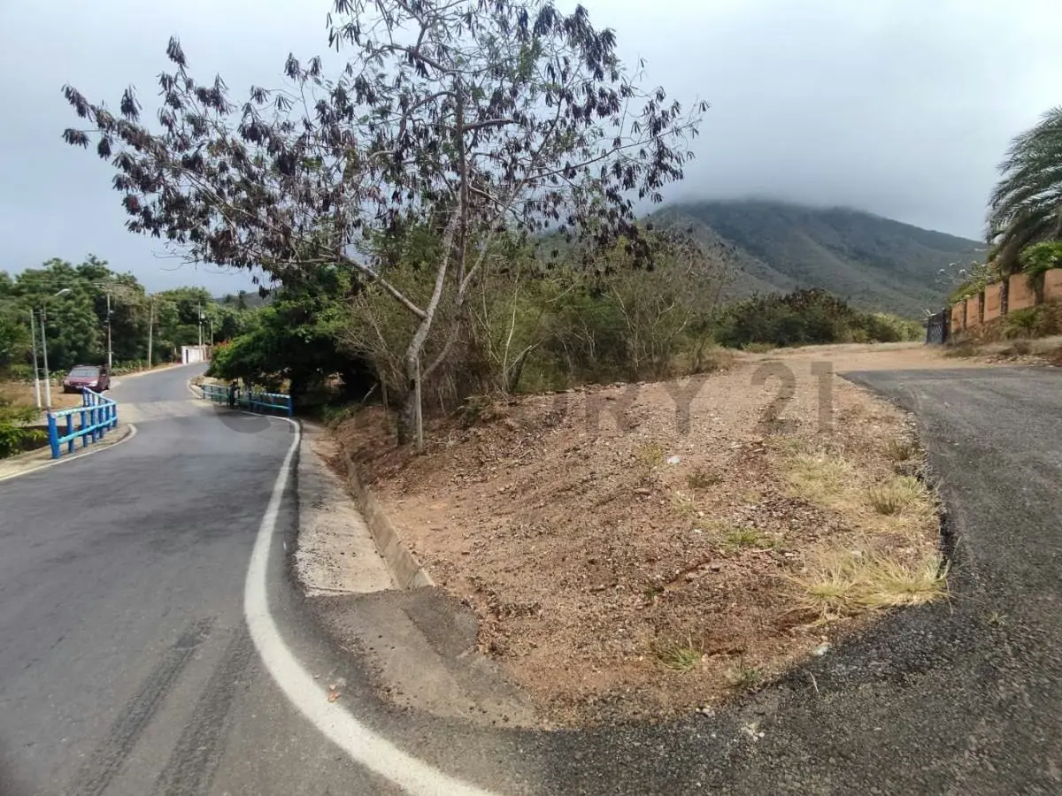 Venta de Finca con Terreno Fértil y Potencial Residencial en Guarame - 13