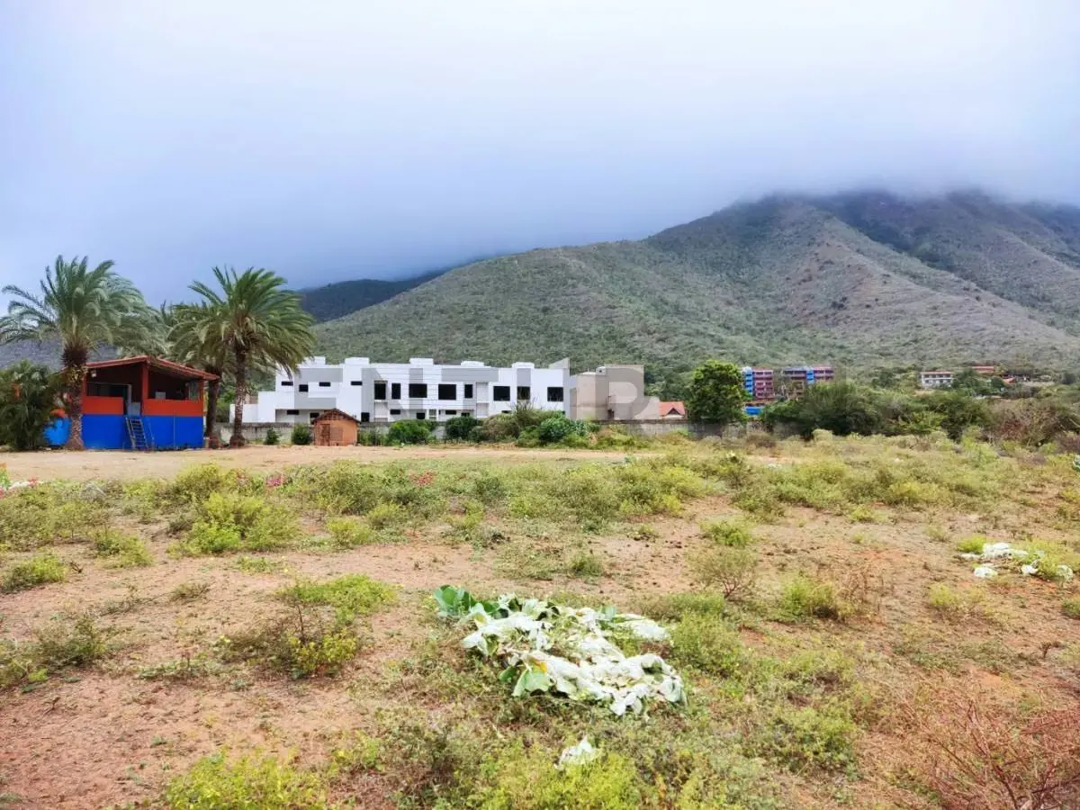 Venta de Finca con Terreno Fértil y Potencial Residencial en Guarame - 2