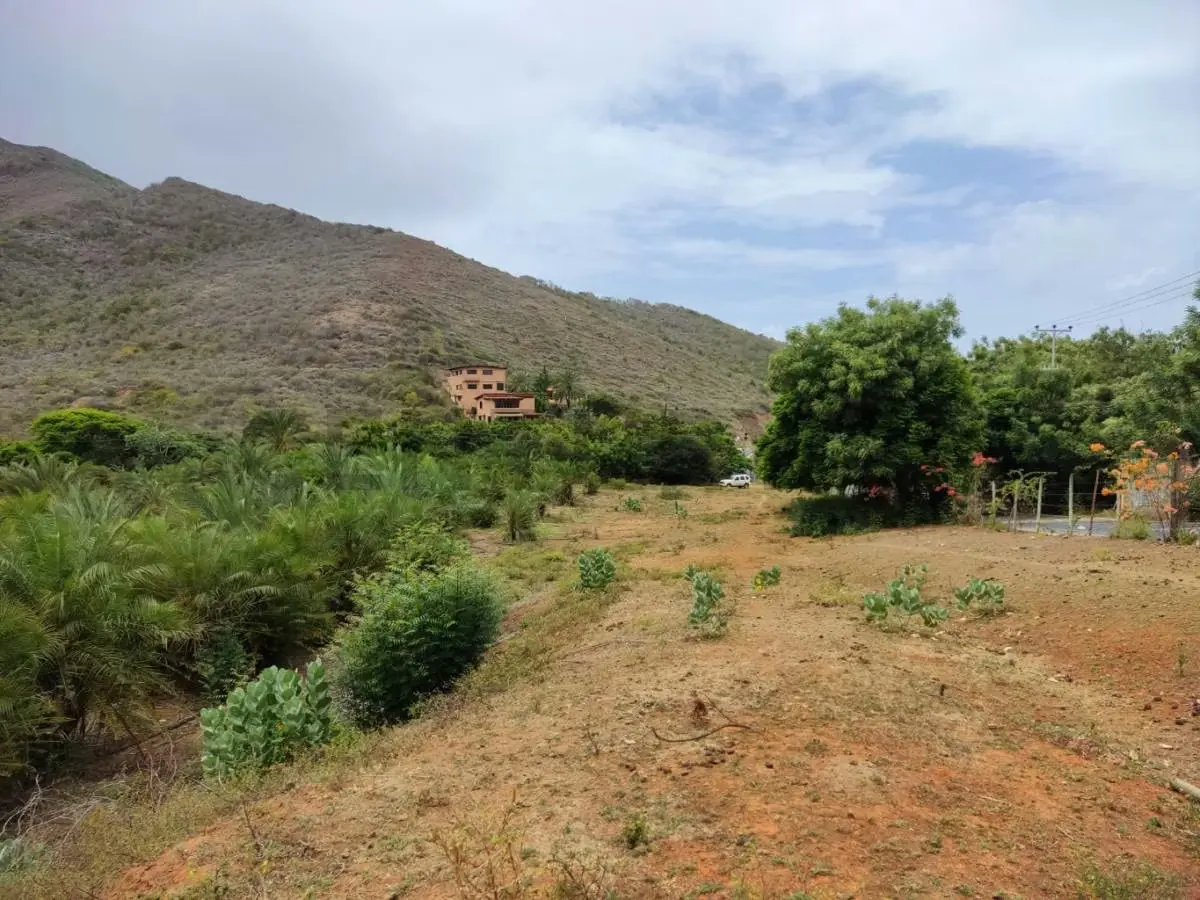 Venta de Finca con Terreno Fértil y Potencial Residencial en Guarame - 4