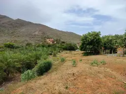 Vista 4