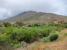 Vista 5