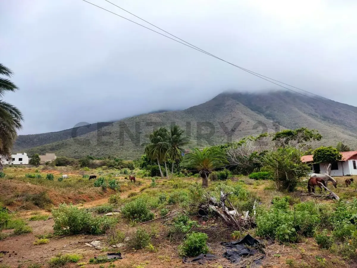 Venta de Finca con Terreno Fértil y Potencial Residencial en Guarame - 6