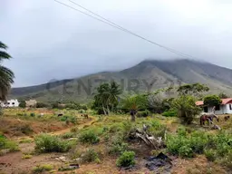 Vista 6