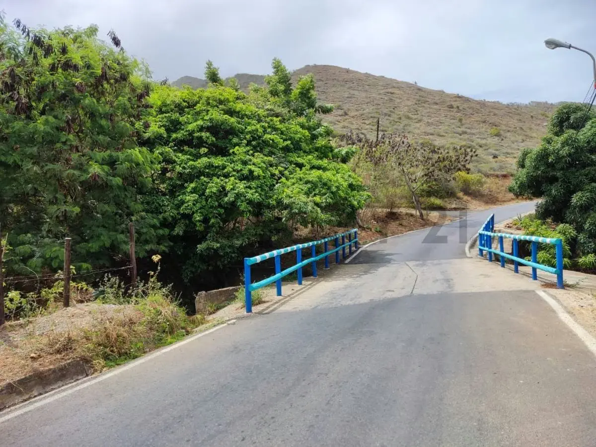 Venta de Finca con Terreno Fértil y Potencial Residencial en Guarame - 10