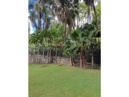 View 12