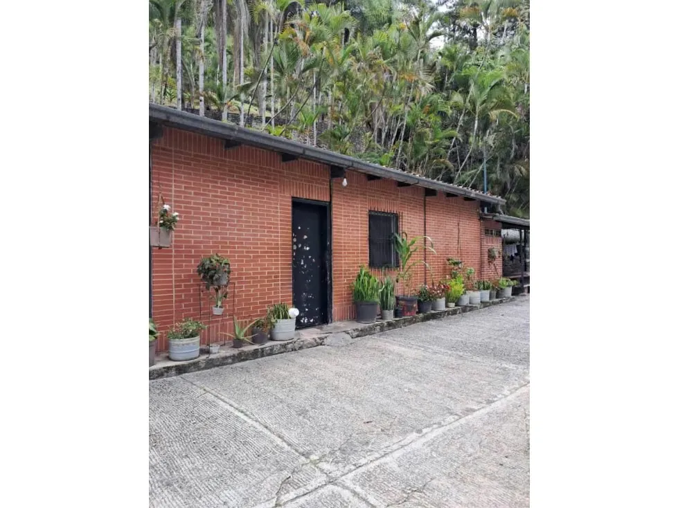 Se vende terreno 53.033m2 c/ bienhechuria 2.984m2 El Hatillo 7557 - 32