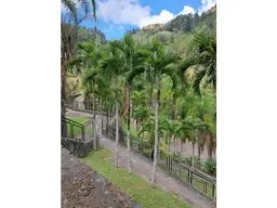 View 34