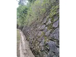 View 59
