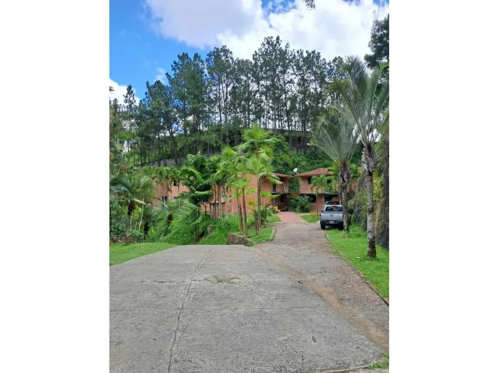 Se vende terreno 53.033m2 c/ bienhechuria 2.984m2 El Hatillo 7557 - 65