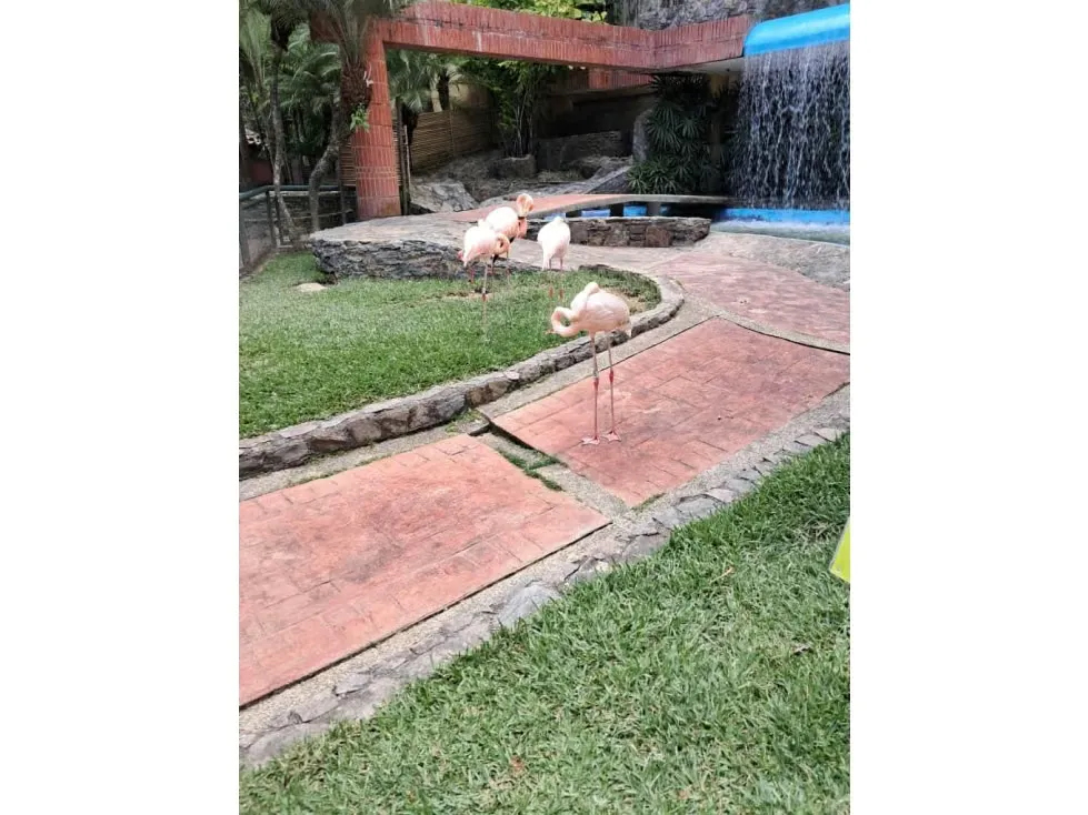 Se vende terreno 53.033m2 c/ bienhechuria 2.984m2 El Hatillo 7557 - 67