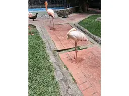 View 69
