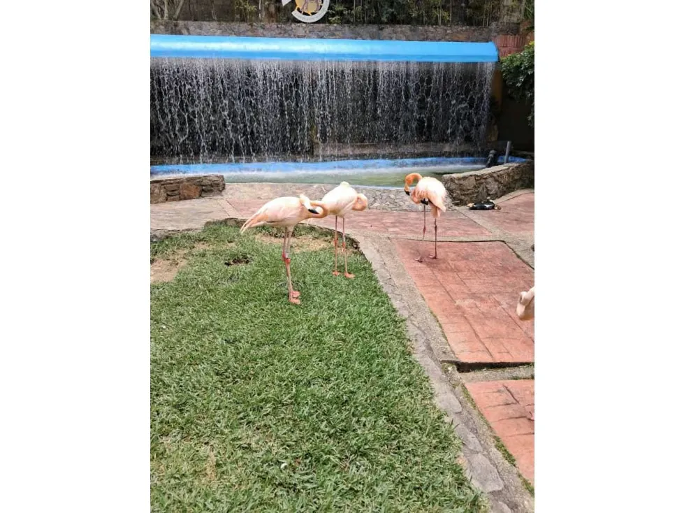 Se vende terreno 53.033m2 c/ bienhechuria 2.984m2 El Hatillo 7557 - 70