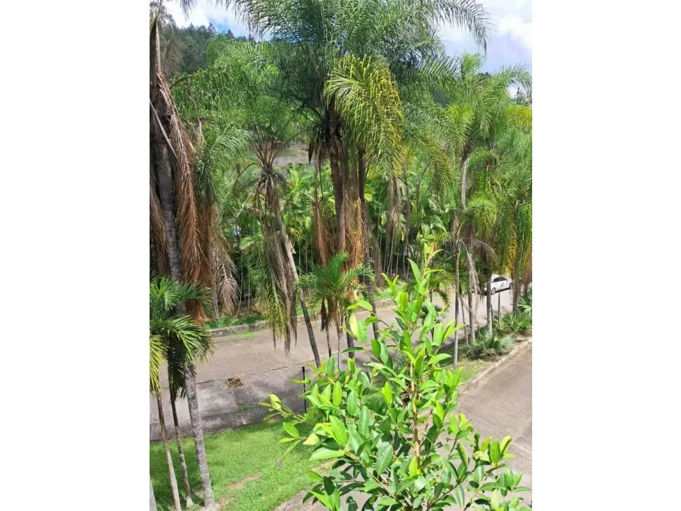 Se vende terreno 53.033m2 c/ bienhechuria 2.984m2 El Hatillo 7557 - 8