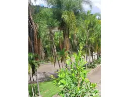 View 8