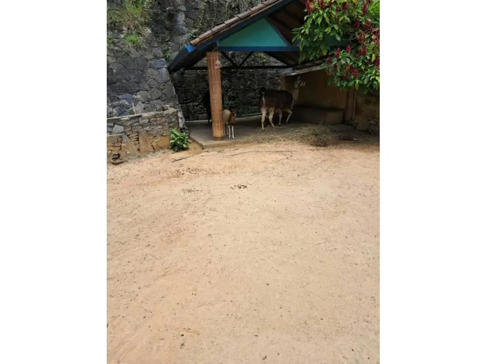 Se vende terreno 53.033m2 c/ bienhechuria 2.984m2 El Hatillo 7557 - 75