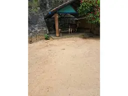 View 75