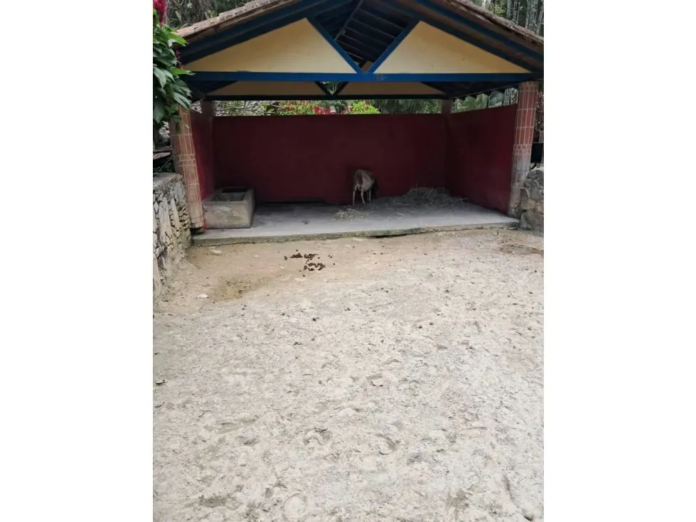 Se vende terreno 53.033m2 c/ bienhechuria 2.984m2 El Hatillo 7557 - 78