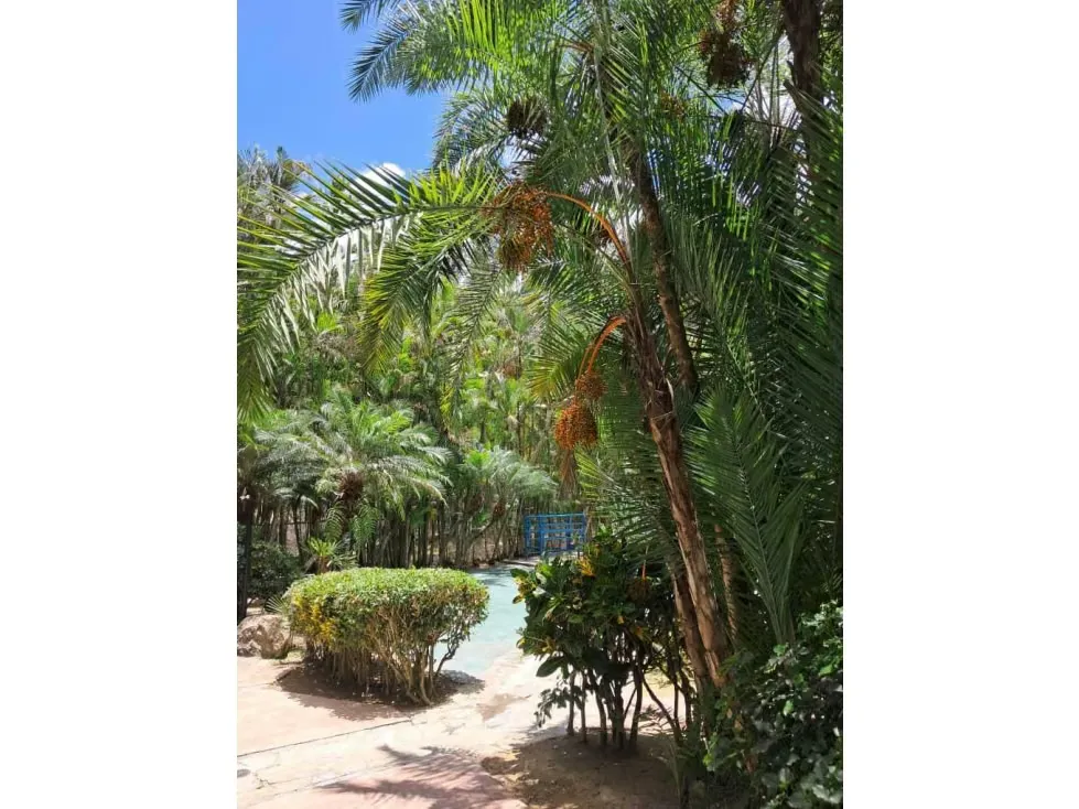 Se vende terreno 53.033m2 c/ bienhechuria 2.984m2 El Hatillo 7557 - 90