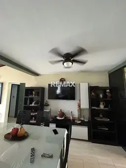 Vista 6