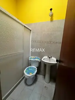 Vista 4