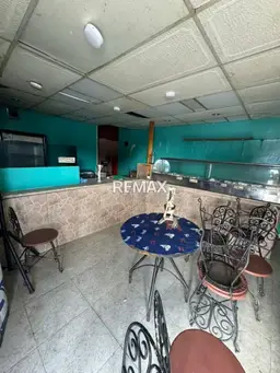 Vista 1