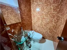 Vista 12