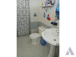 Vista 11