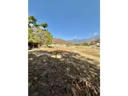Vista 4