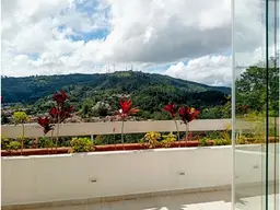 View 41