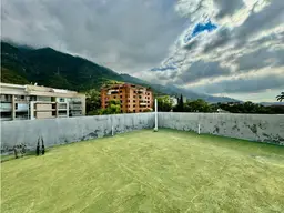 Vista 6