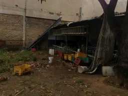 View 24